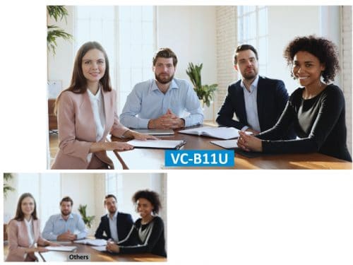 VC-B11U - VC-B11U_Perfectly_Stable_Video_1.jpg