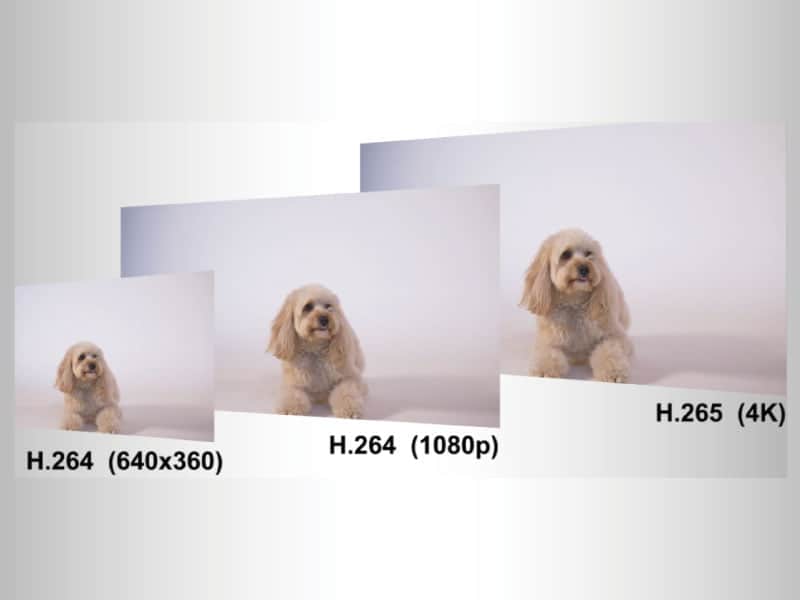 VC-BC701P VC-BC701P - 03-BC701-support-H.265H.264-video-forma.jpg